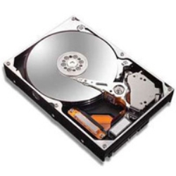 Maxtor OUTLET Hard Disk 3,5 SATA II 250 GB 